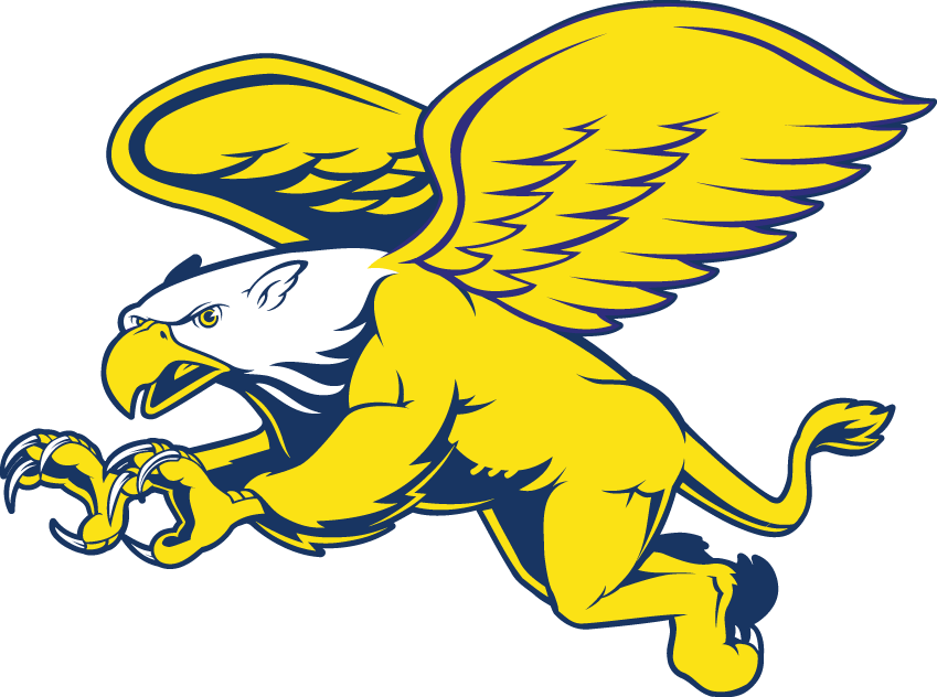 Canisius Golden Griffins 1999-2005 Secondary Logo iron on transfers for fabric